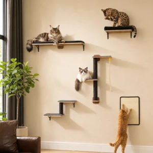 5-in-1 Cat Climb & Scratch Wall Perch