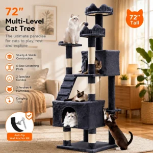 Multi Level Activity Center for Cats